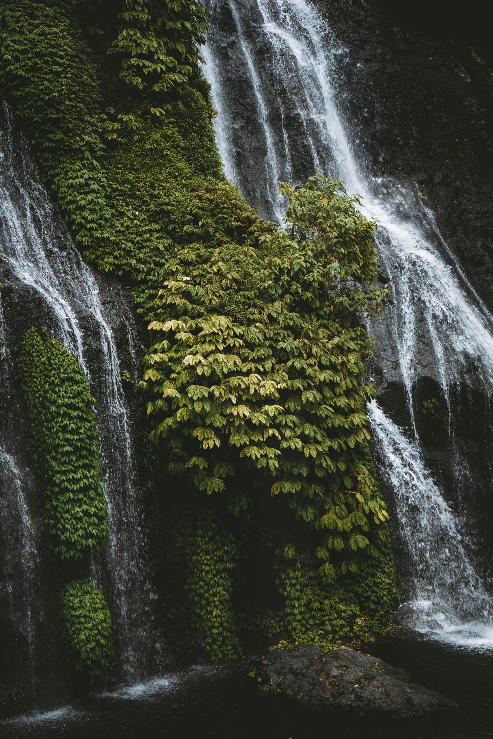 munduk_banuywala-5885 meilleure cascade munduk bali