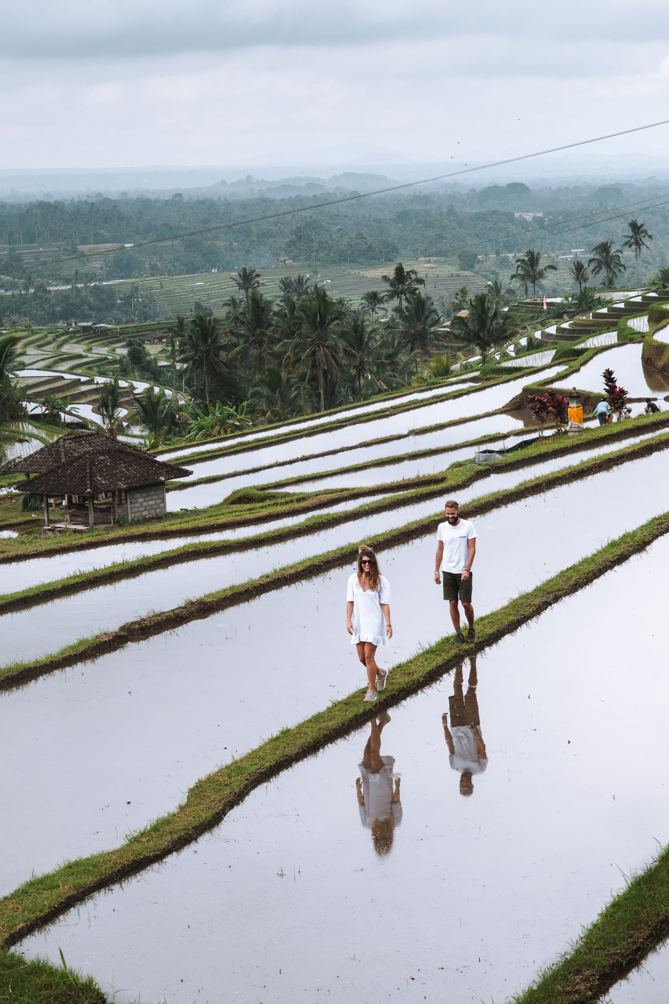 munduk_jatilawih-7087 jatiluwih rizières bali