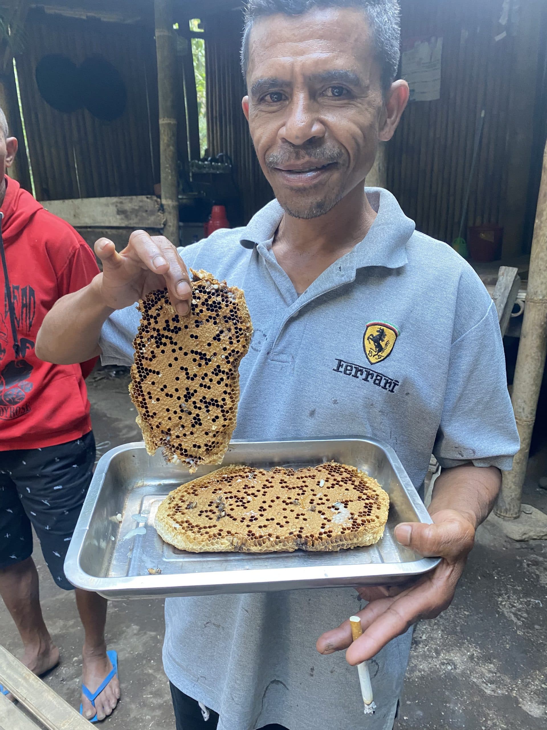 degustation de larves d'abeilles à Flore