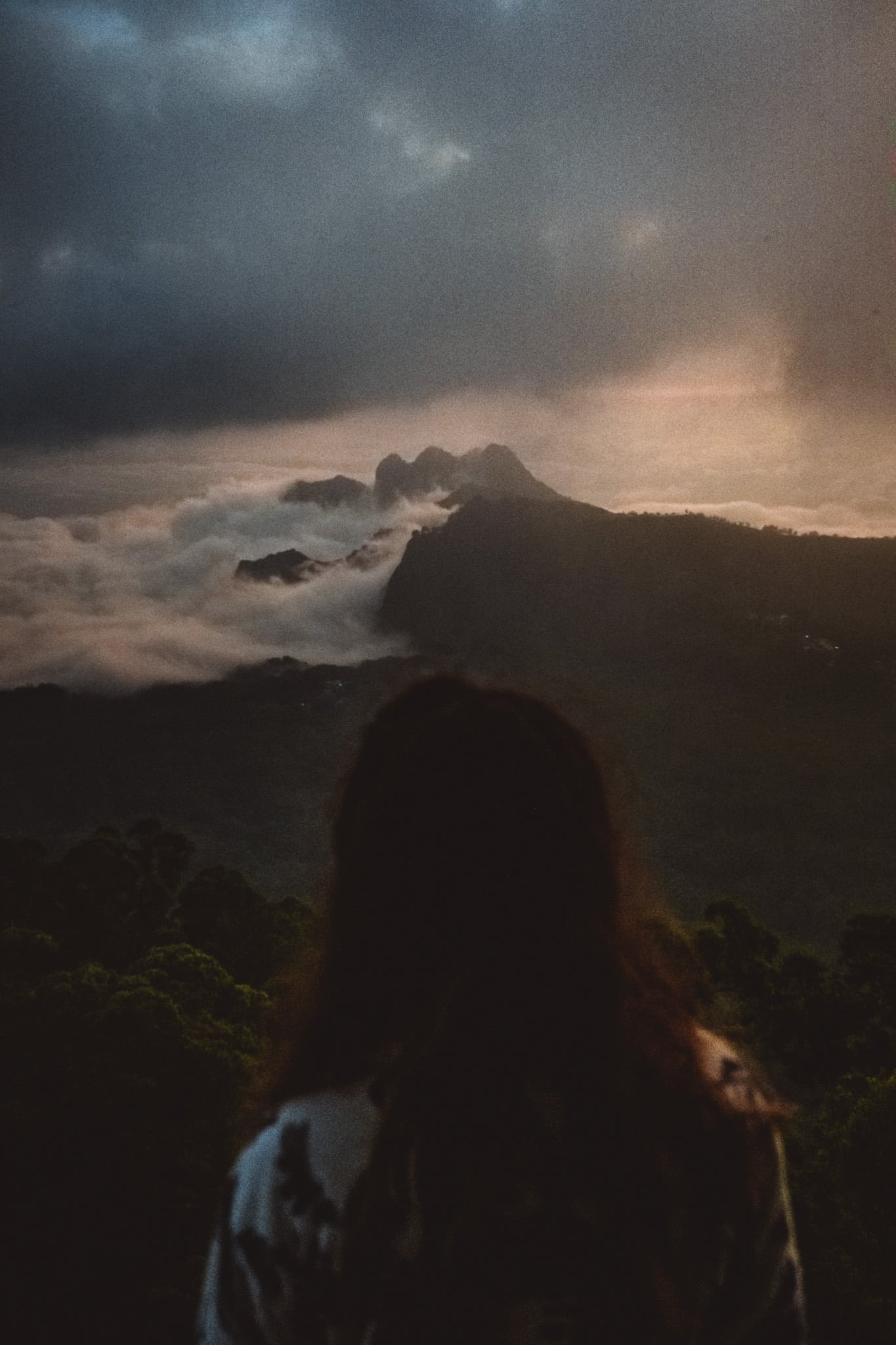 les paresseux curieux en retard a Wolobobo Viewpoint