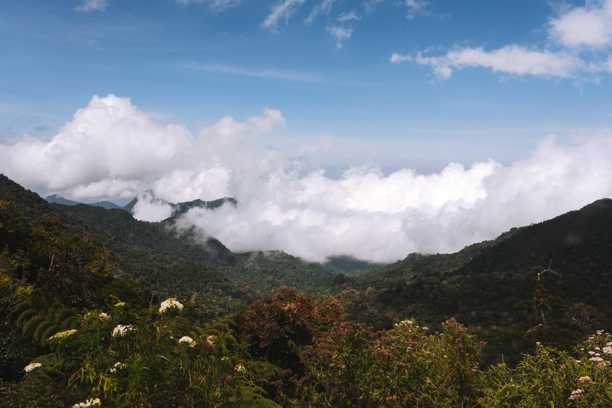vue au sommet de la montagne pour se rendre à wae rebo