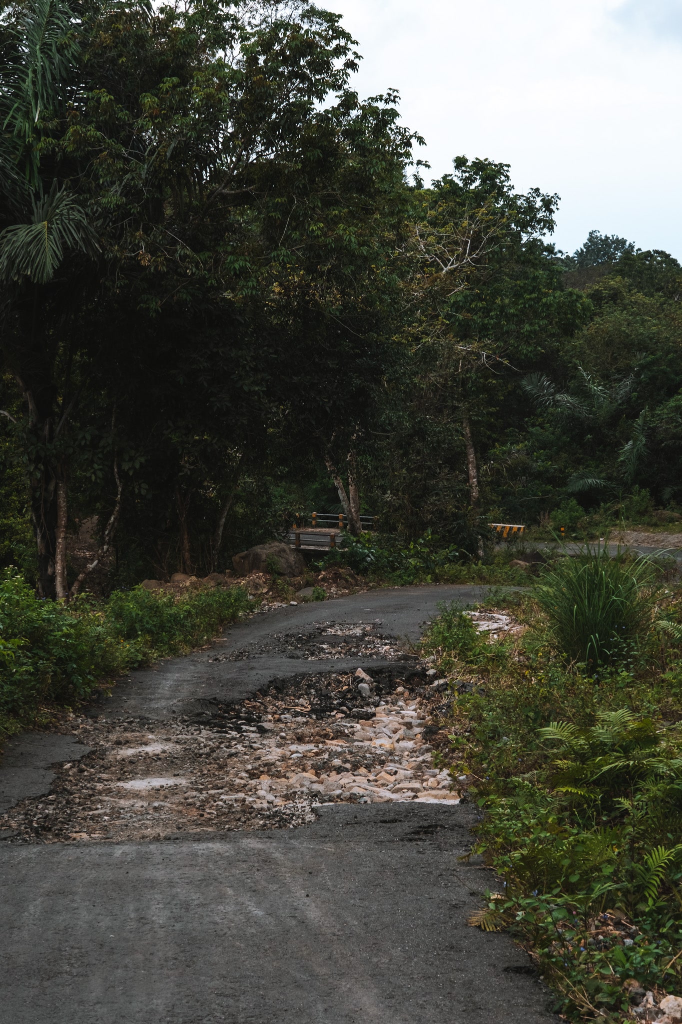 Route pour aller à Wae Rebo flores