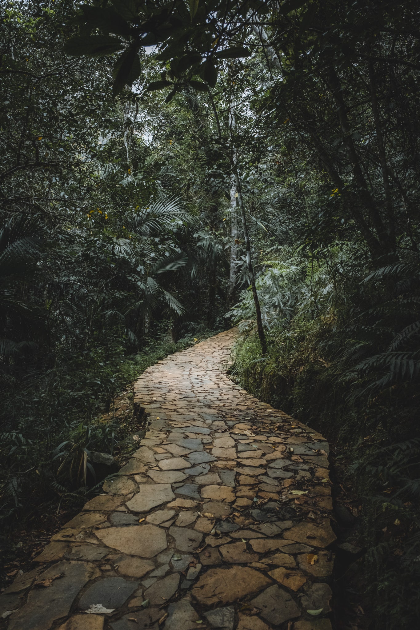 Randonnée pour se rendre à Wae Rebo