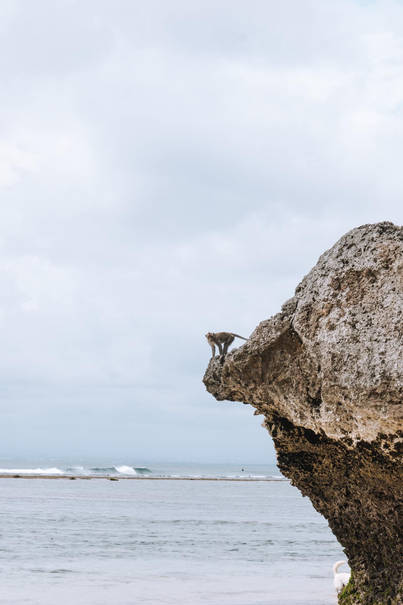 padang padang beach singes