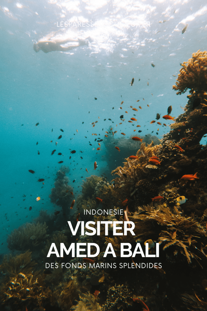 pinterest : que faire a amed : snorkeling