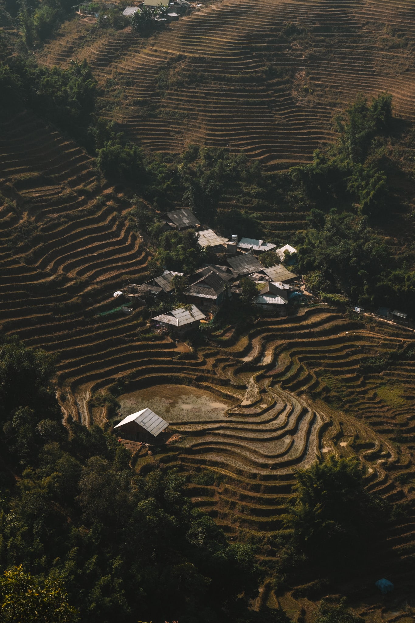 vue aerienne rizieres