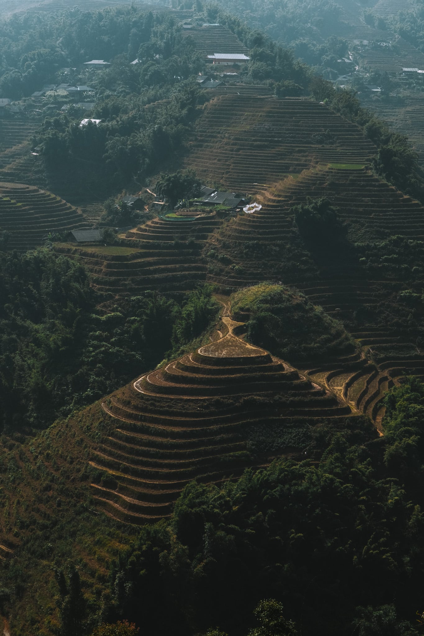 paysages rizières vietnam