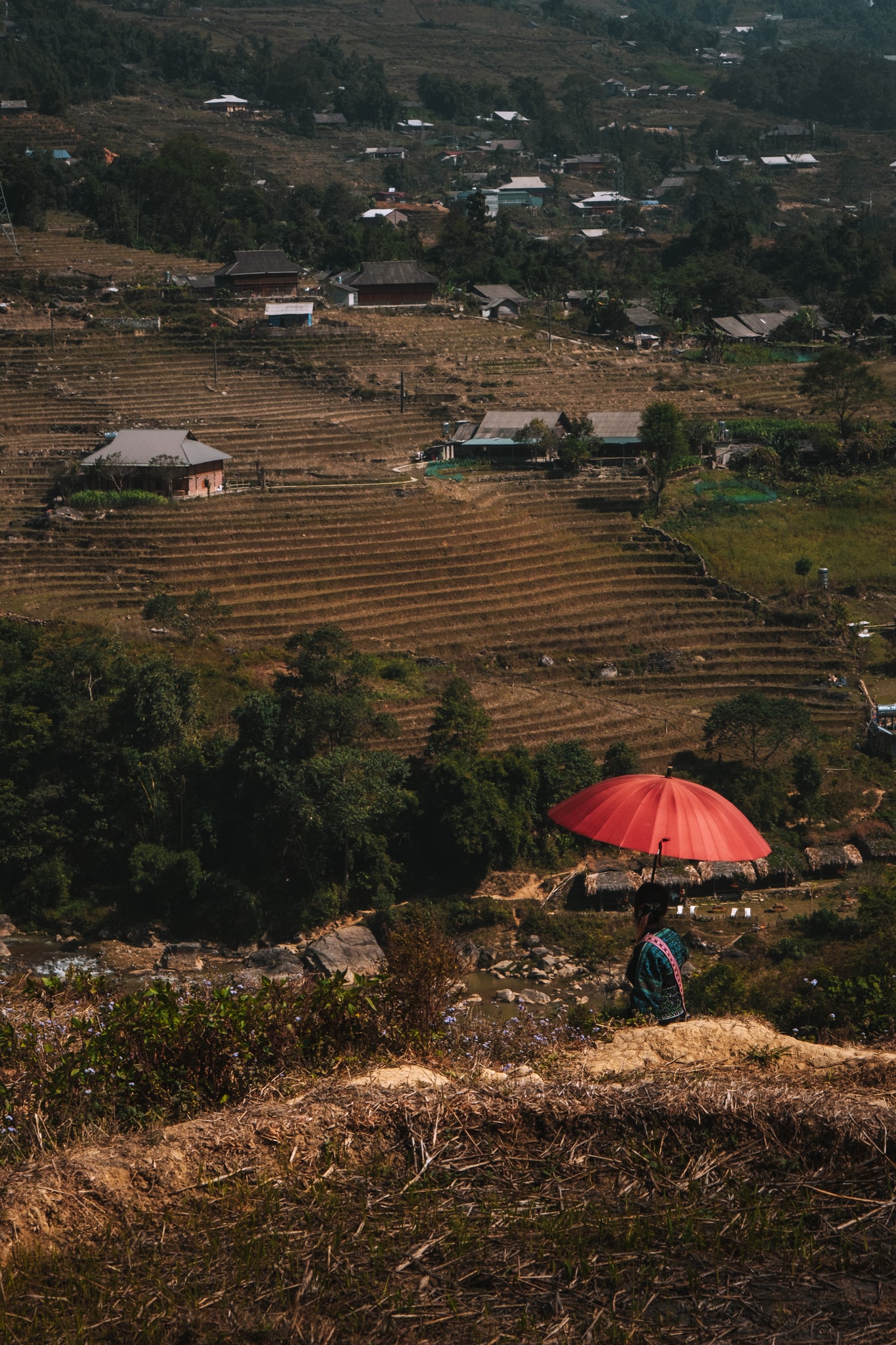en attendant.. dans les rizières