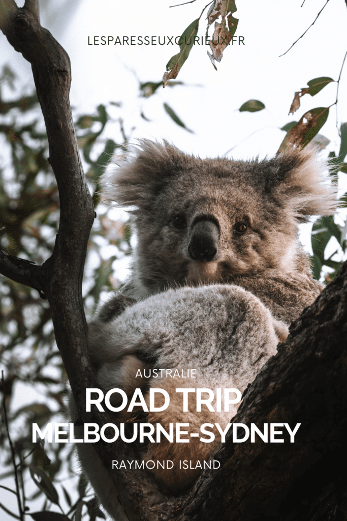 pinterest epingle road melbourne sydney
