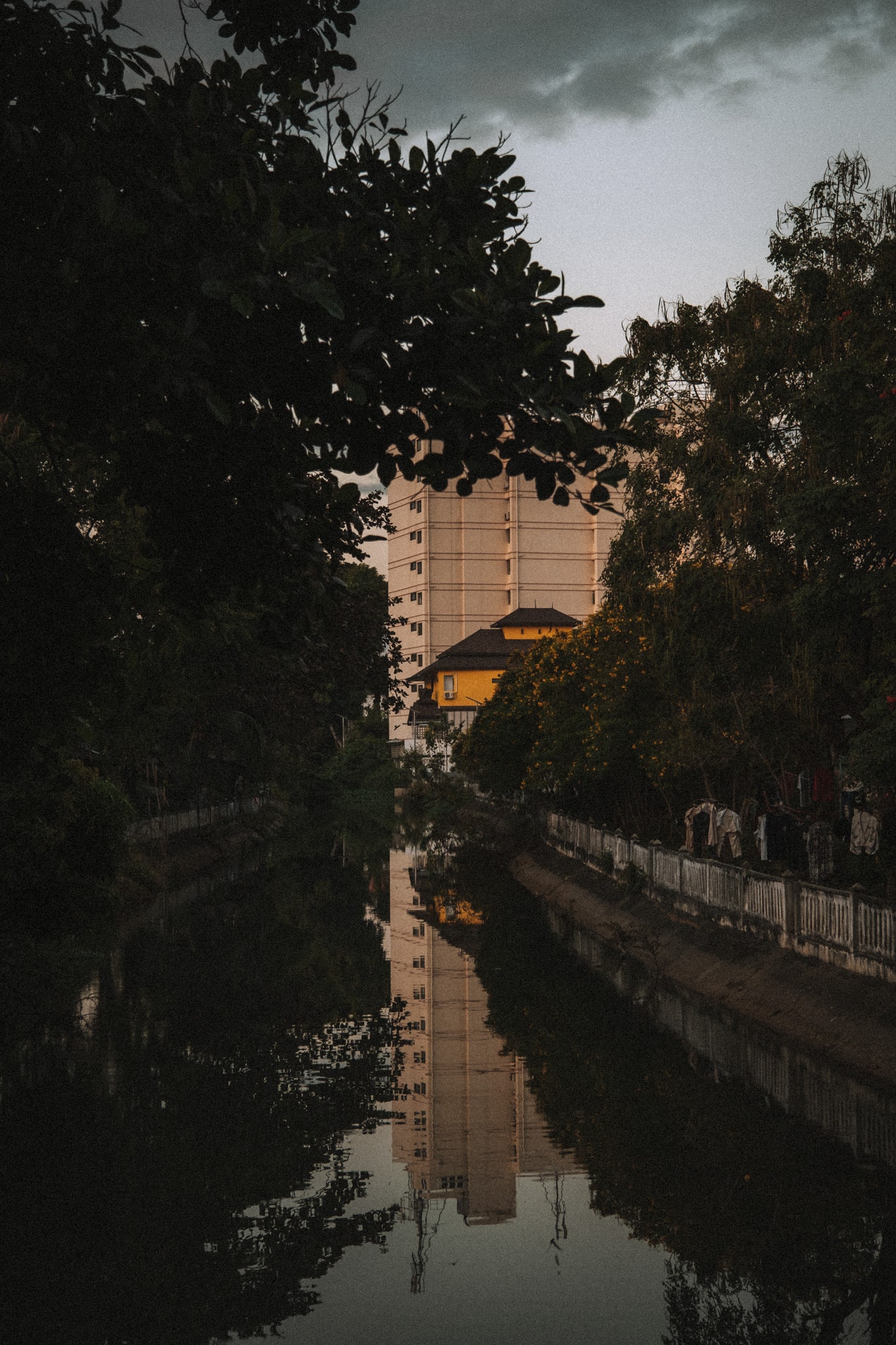 douce lumiere dans la frenesie du deux roues