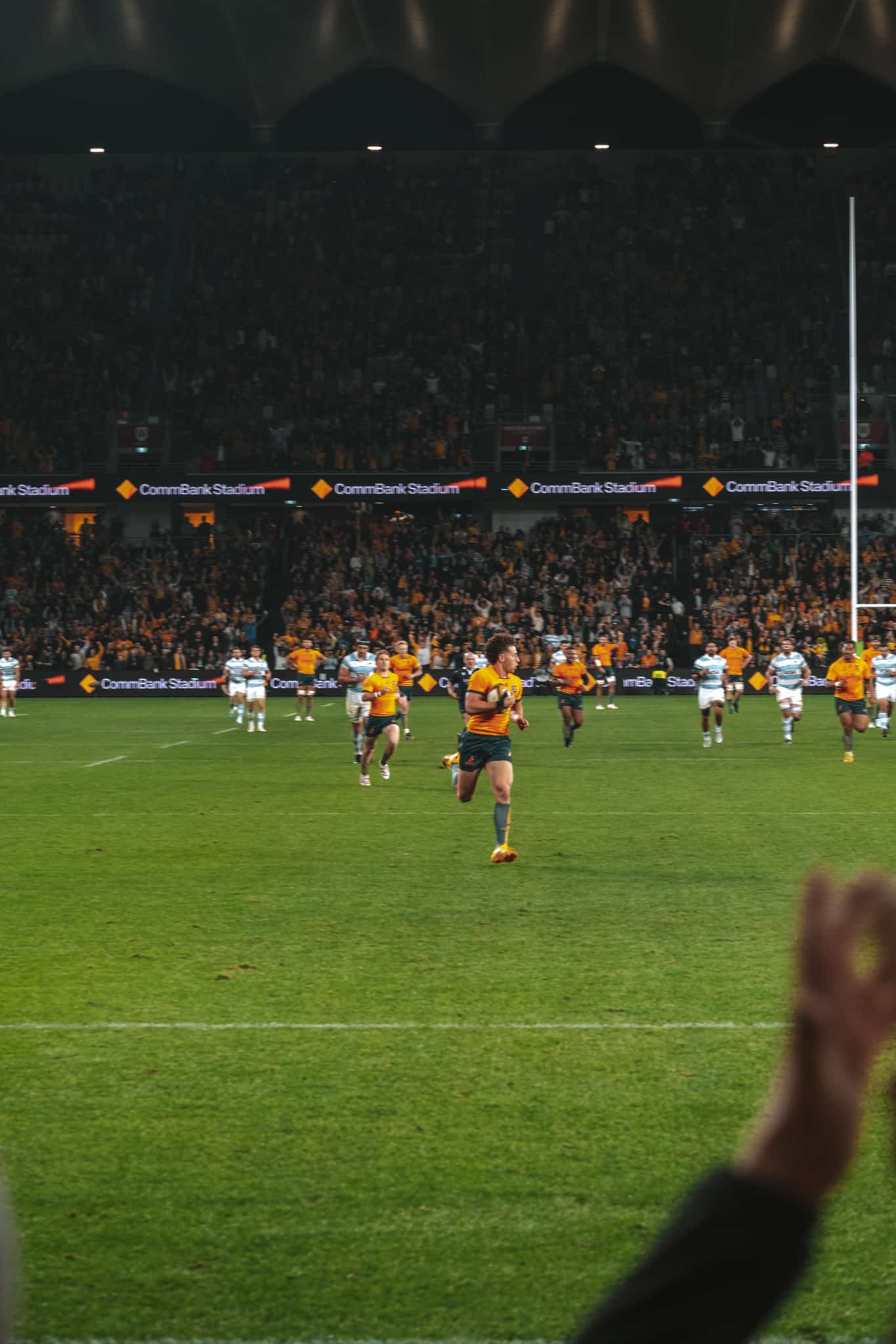 voir un match de rugby en australie