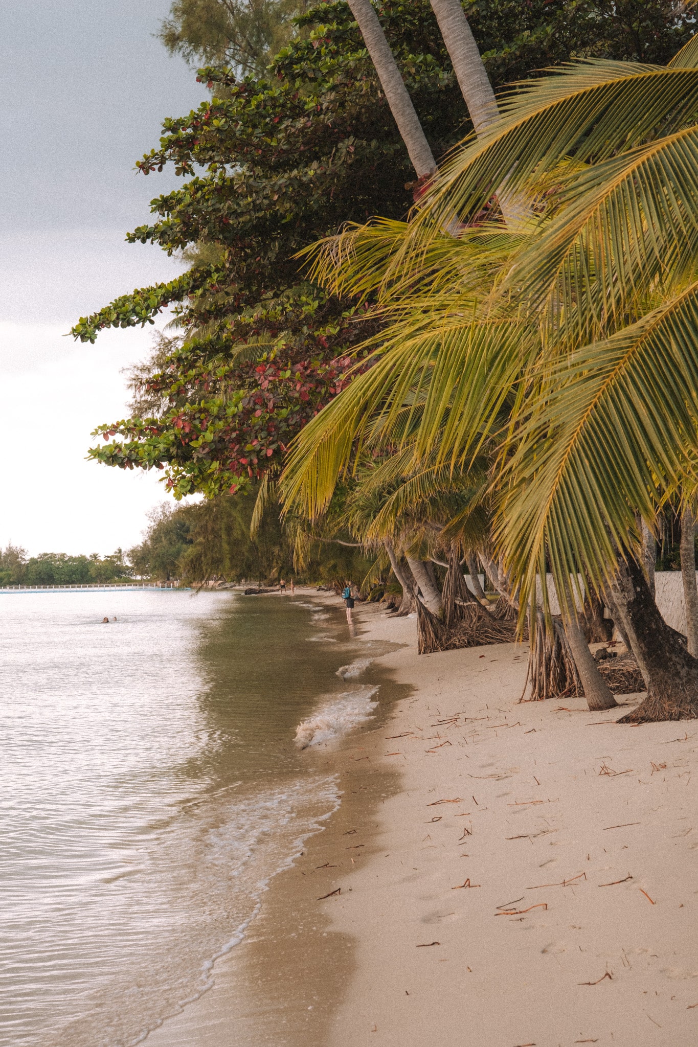 hidden beach visiter koh samui thailande