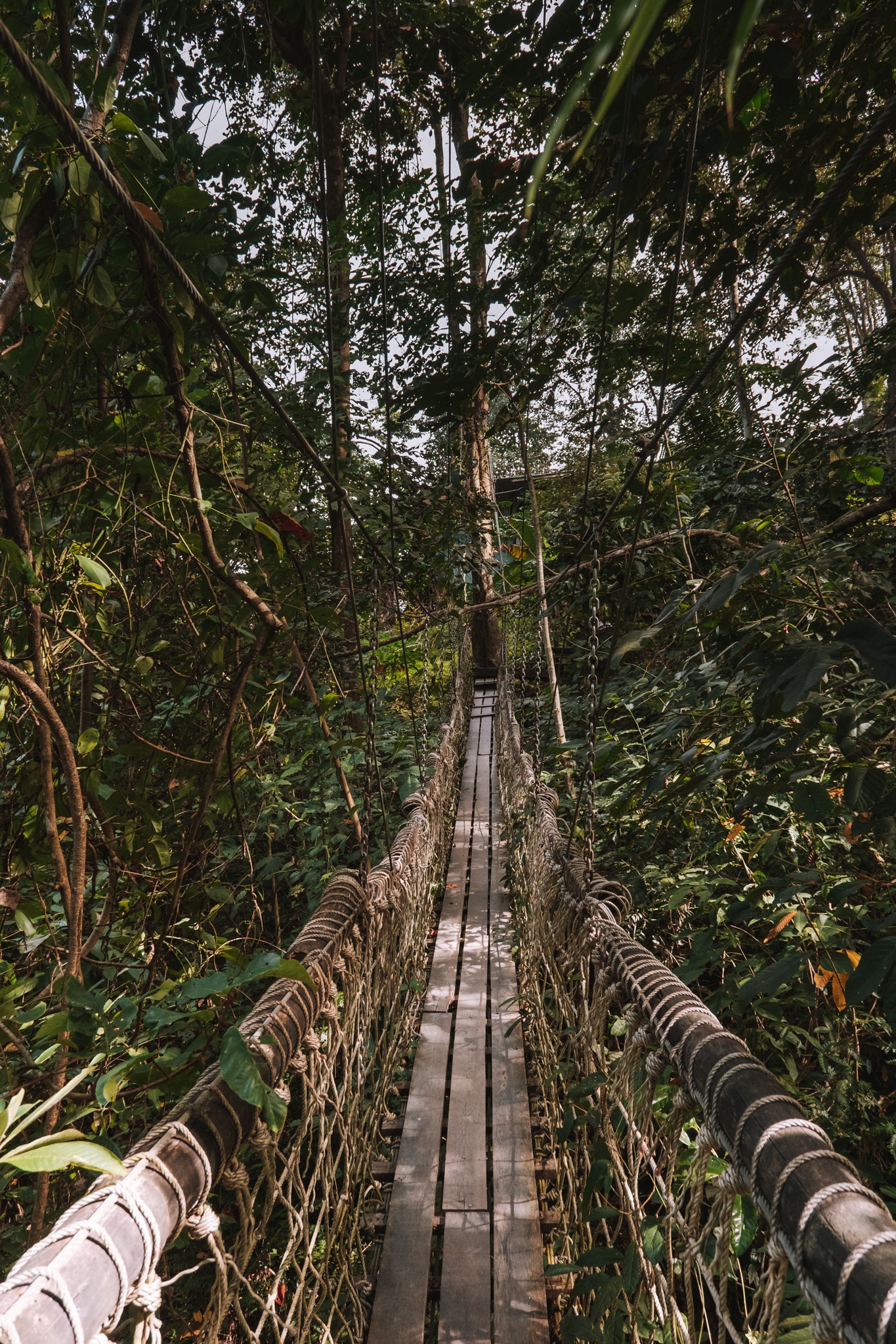 hanging bridges koh samui thailande