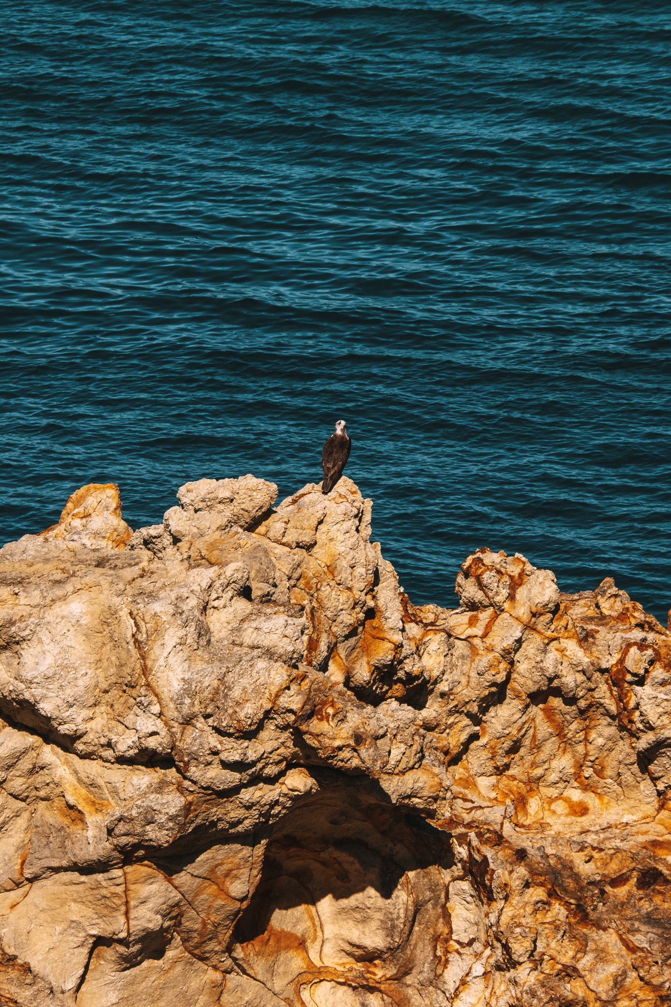 point lookout straddie