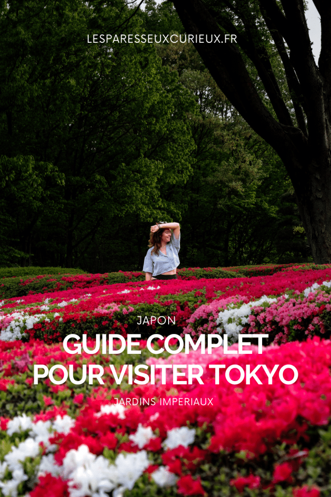 pinterest pin visiter tokyo japon