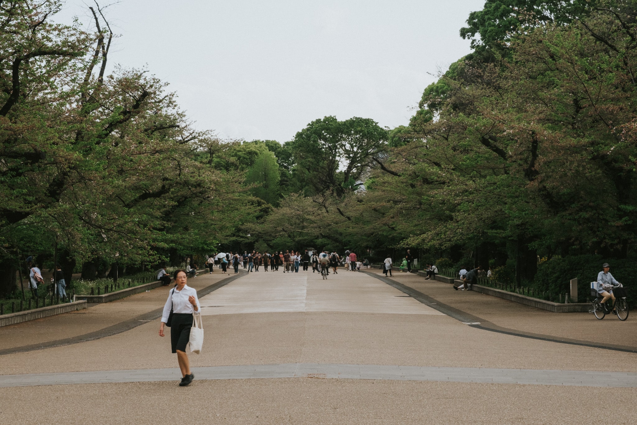 visiter le parc de Ueno à Tokyo au Japon