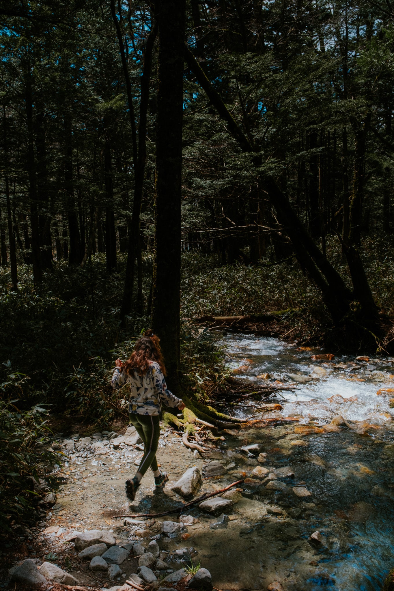 randonnee dans les alpes japonaises