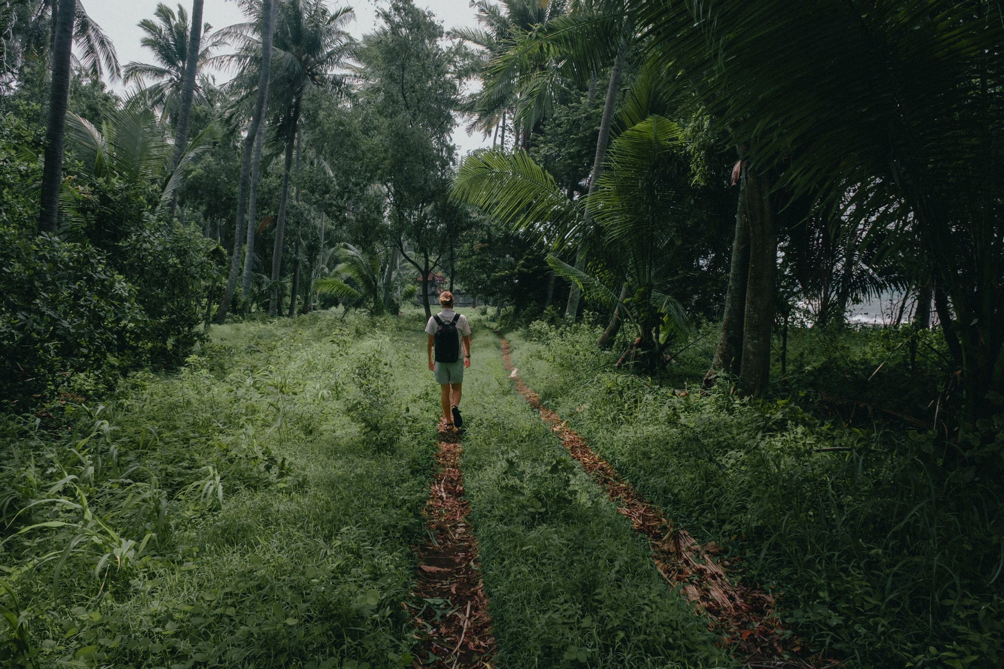 marcher dans les palmiers gretek