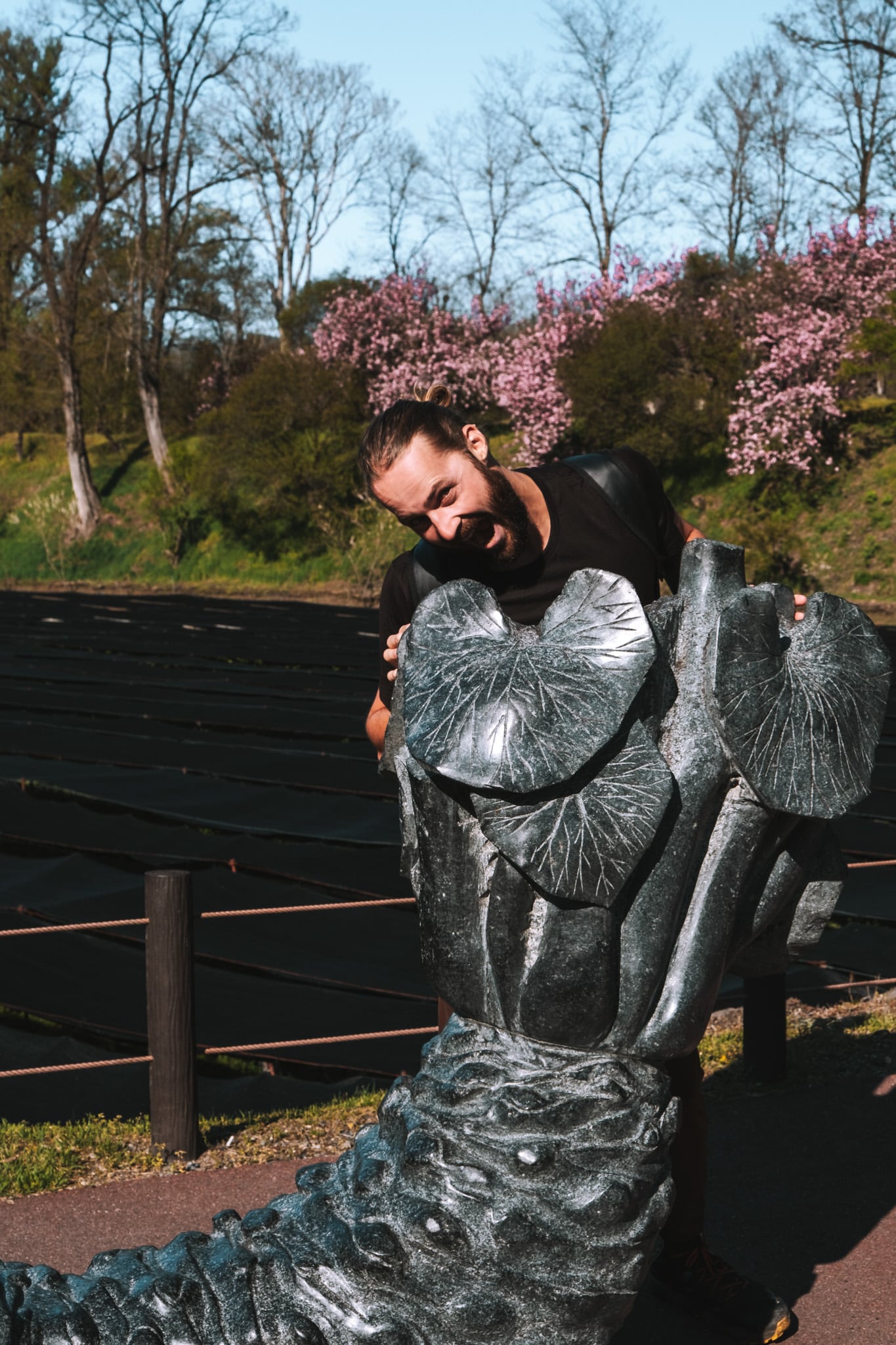 wasabi farm matsumoto