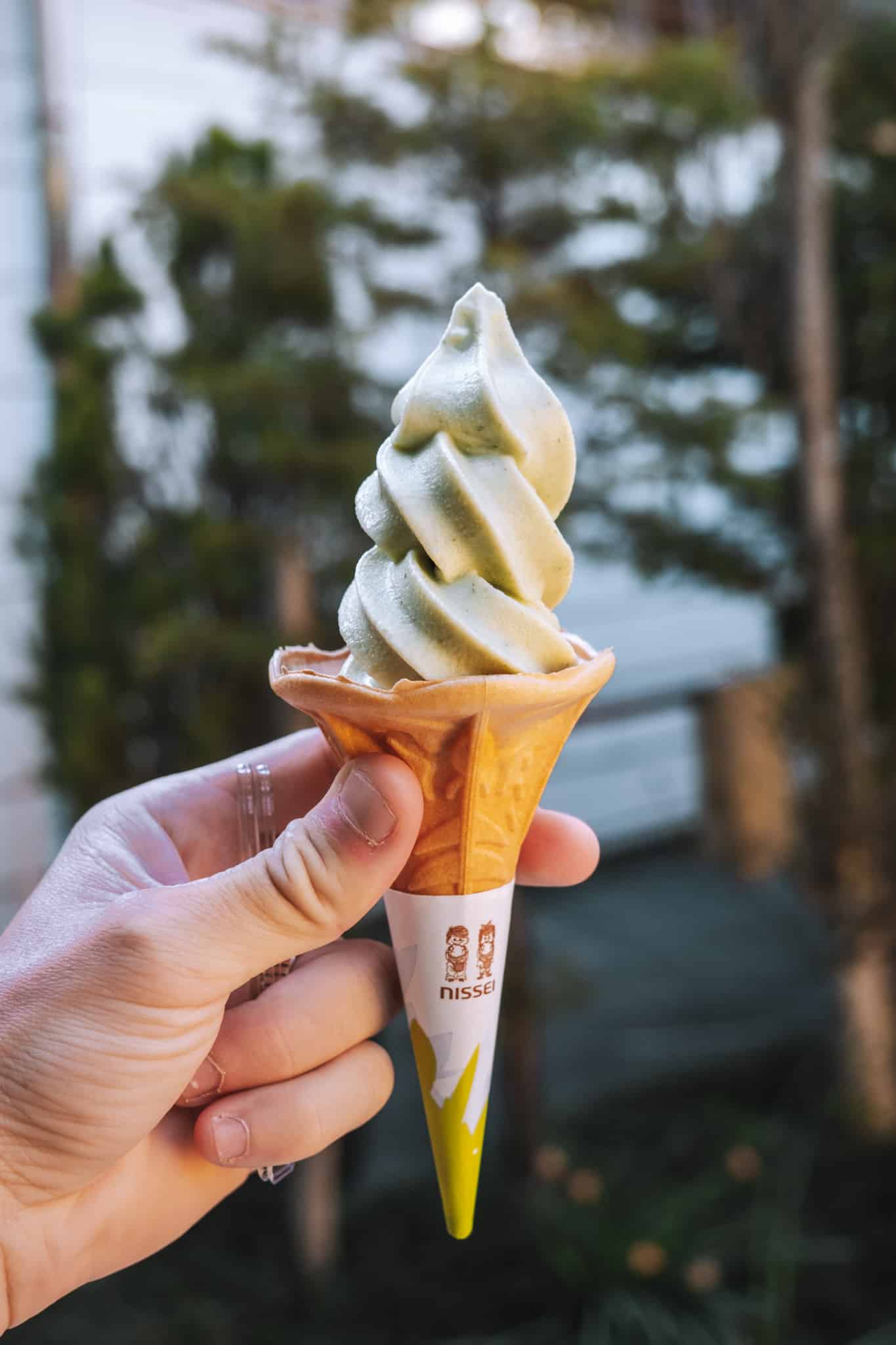 manger une glace au wasabi à matsumoto au japon