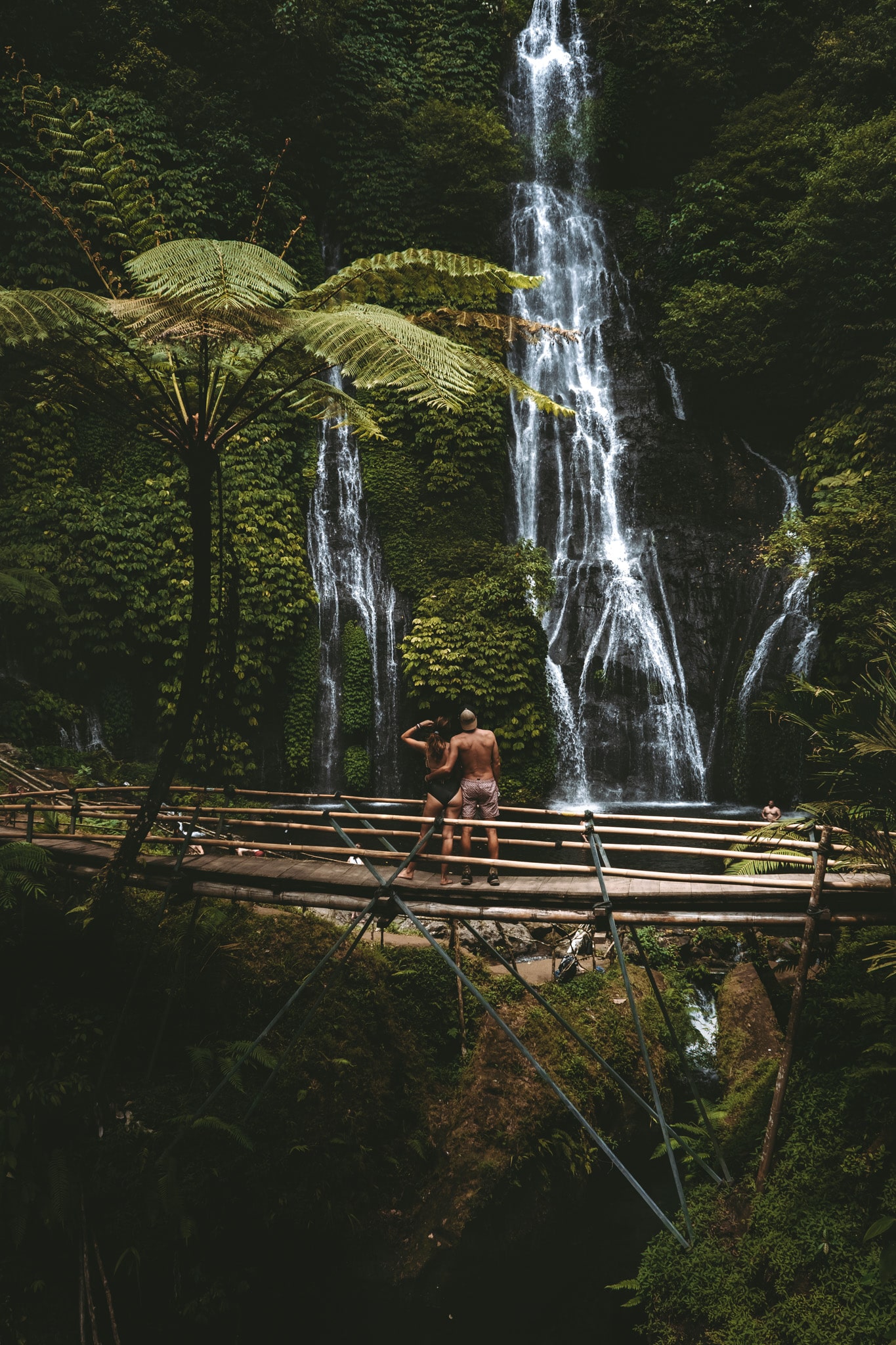 visiter munduk depuis Gretek à Bali