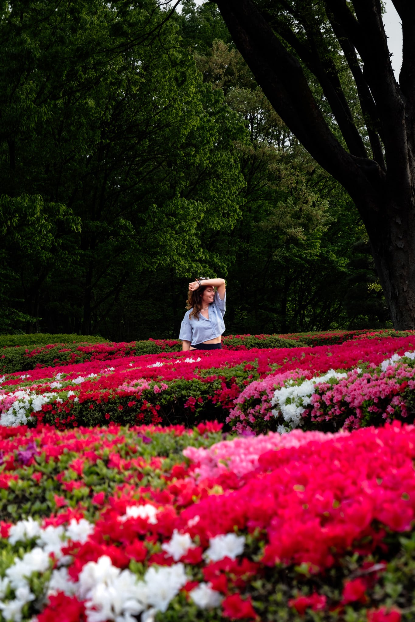 voire des fleurs au jardins de Nimomaru