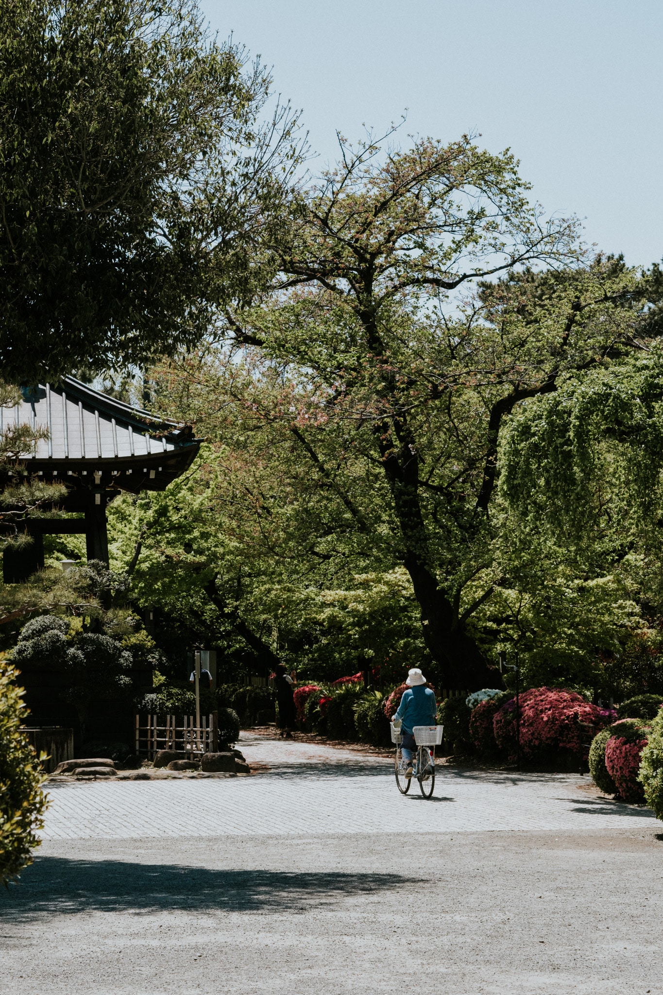 Gotokuji Shrine