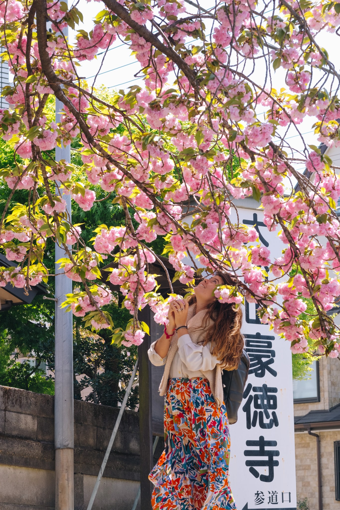 cherry blossom tokyo japon