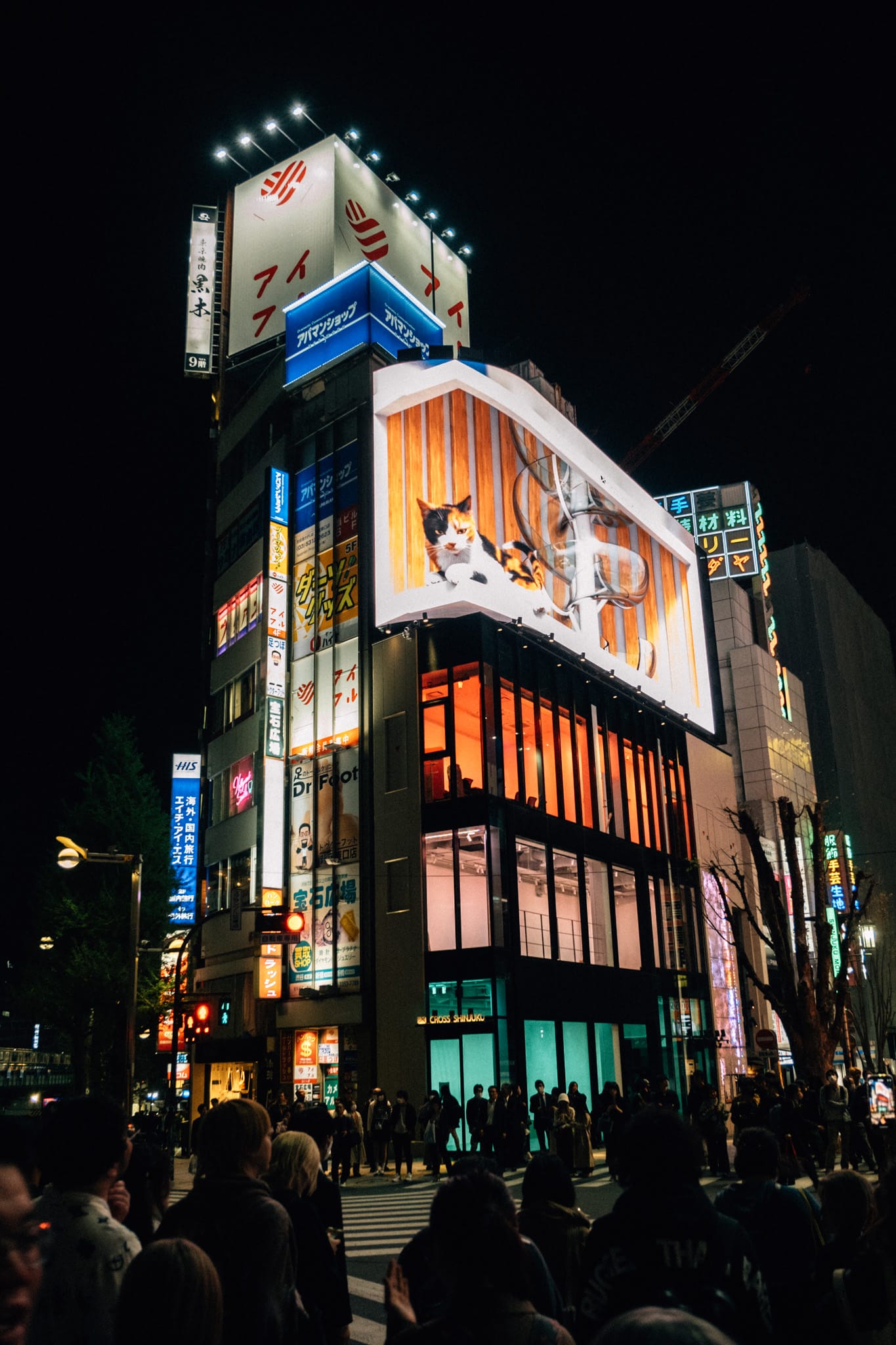 chat du shinjuku à tokyo