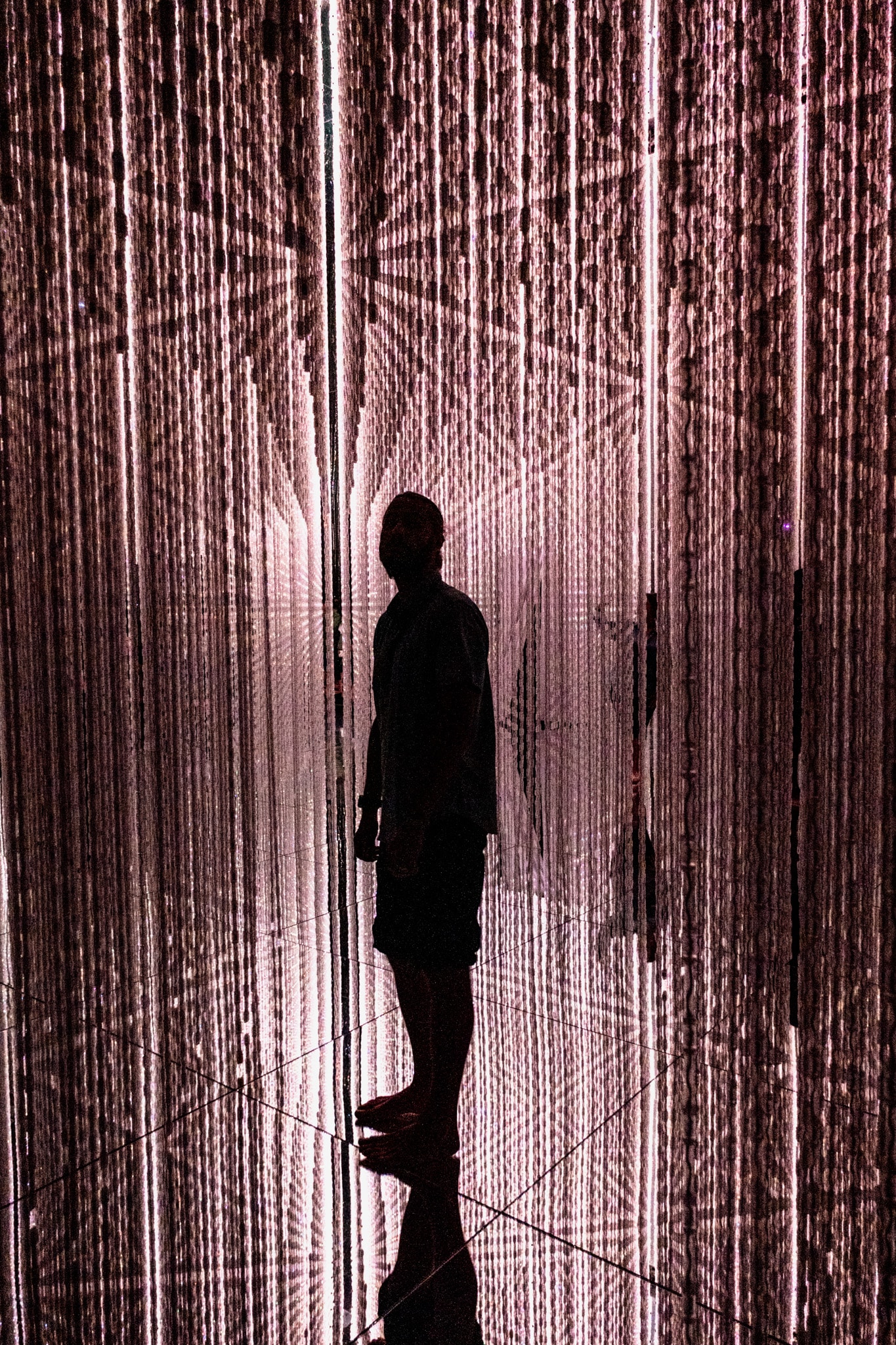 team Lab Planet tokyo