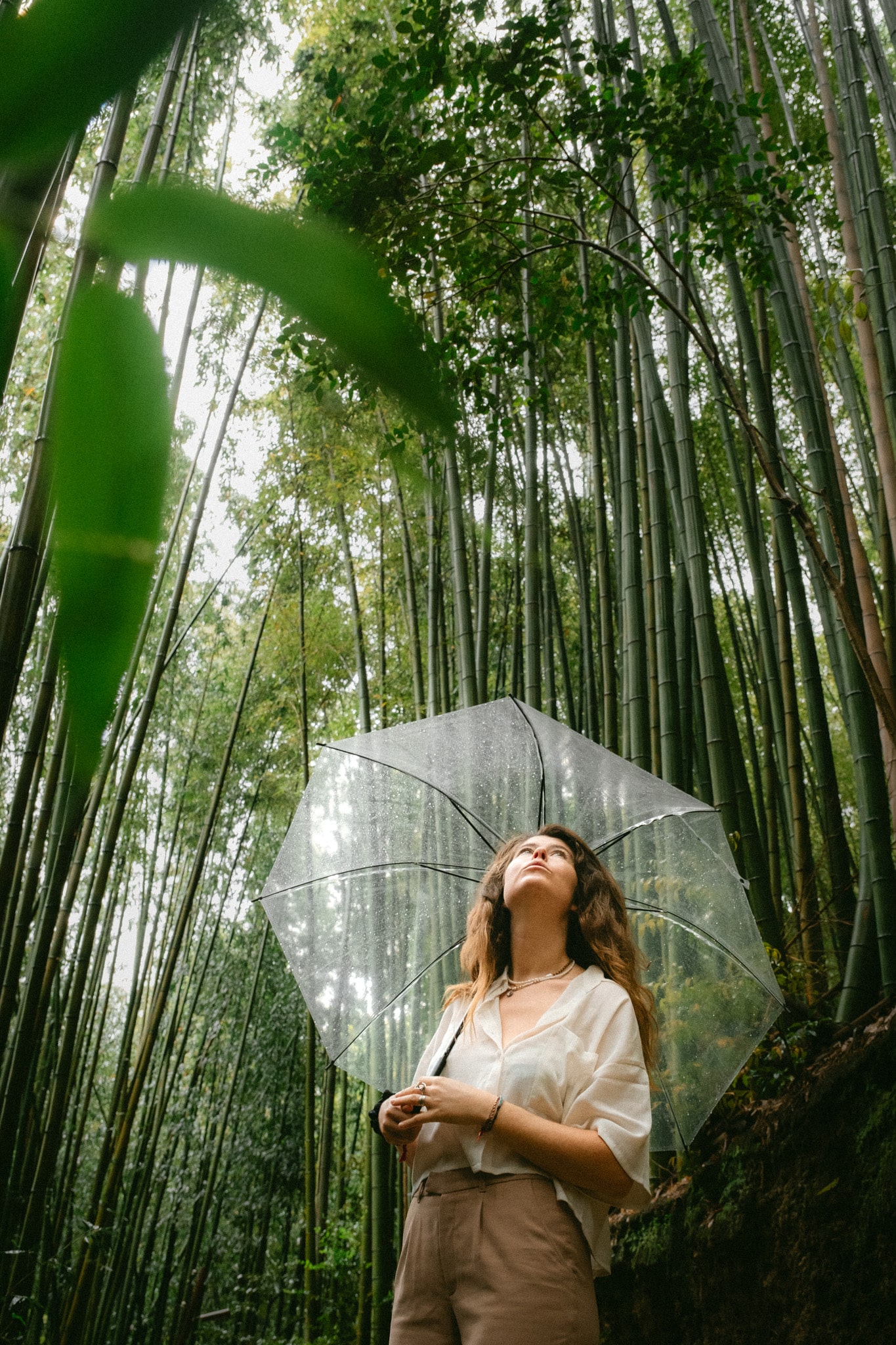 quel templer visiter à kyoto au japon : Fushimi Inari Taisha