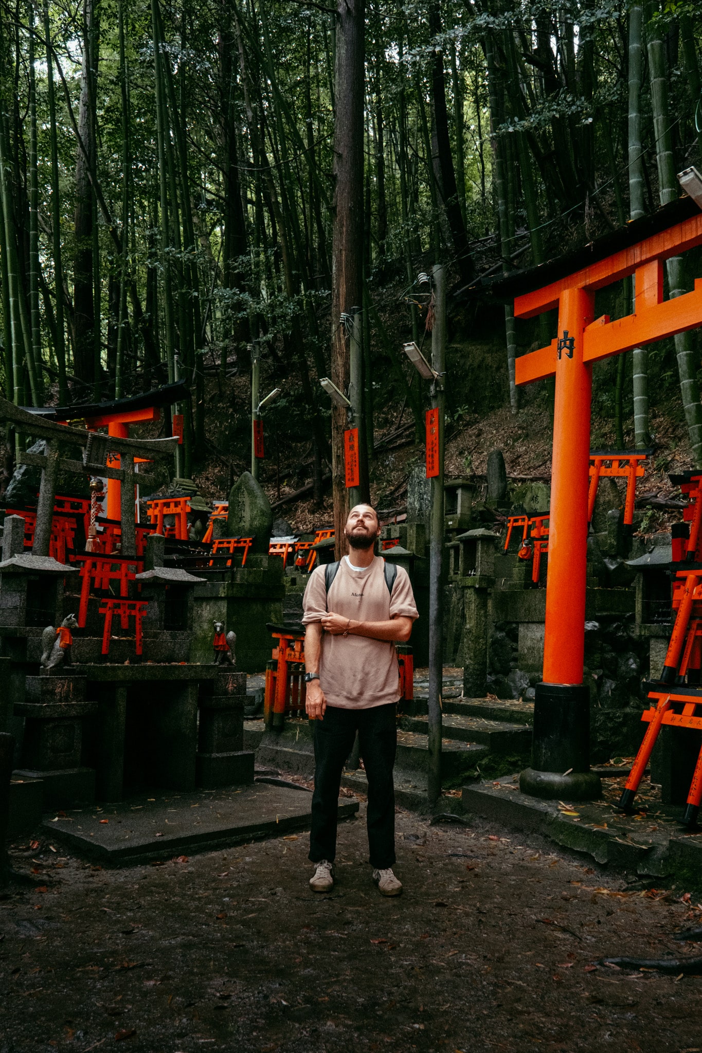 mimi au milieu des torii du Inari Shrine