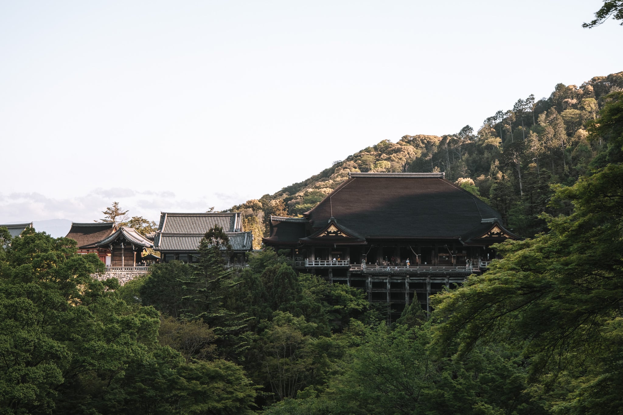 vue sur les terrasses du Kiyomizu-dera
