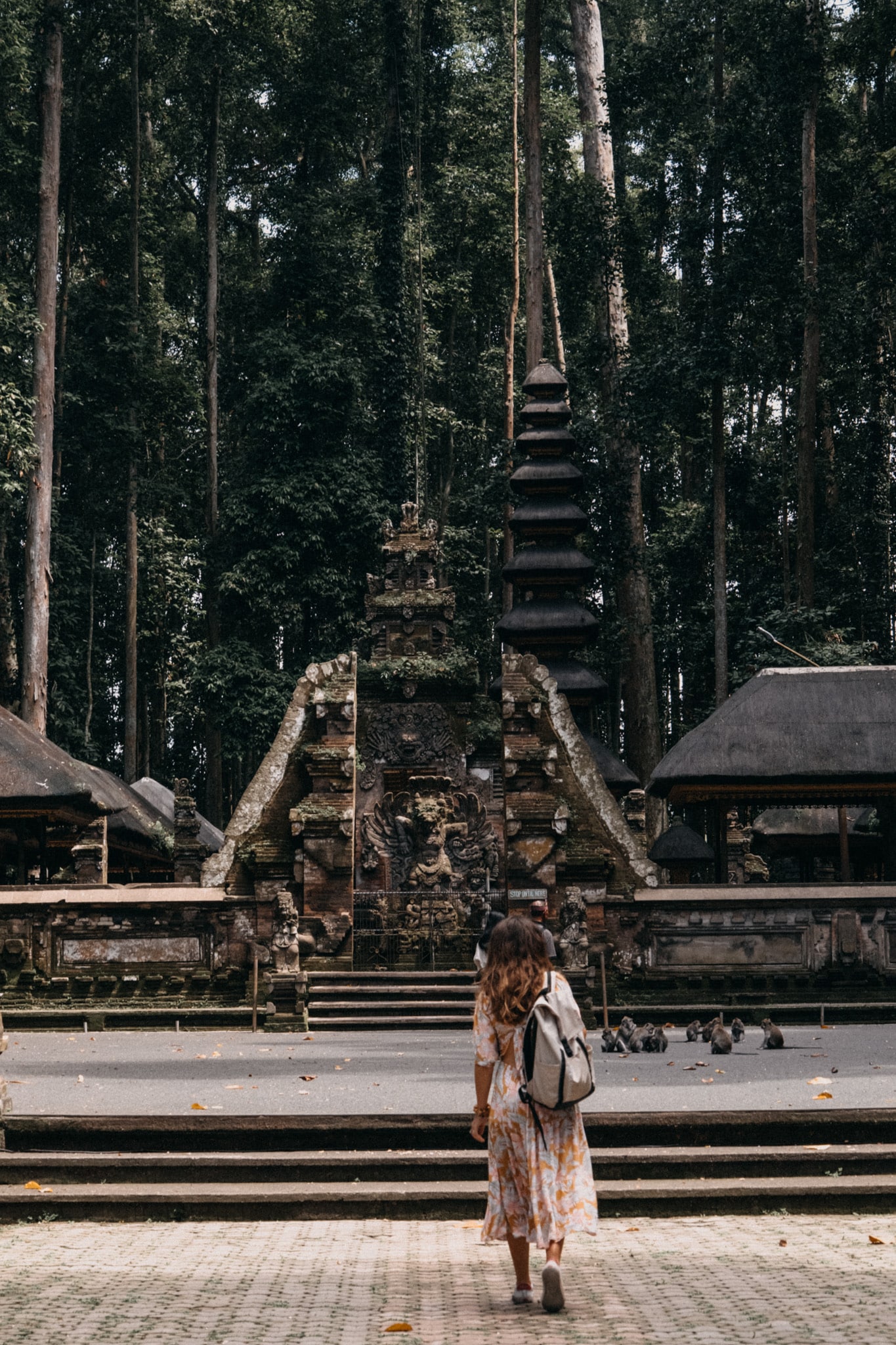 alternative a la sangeh forest