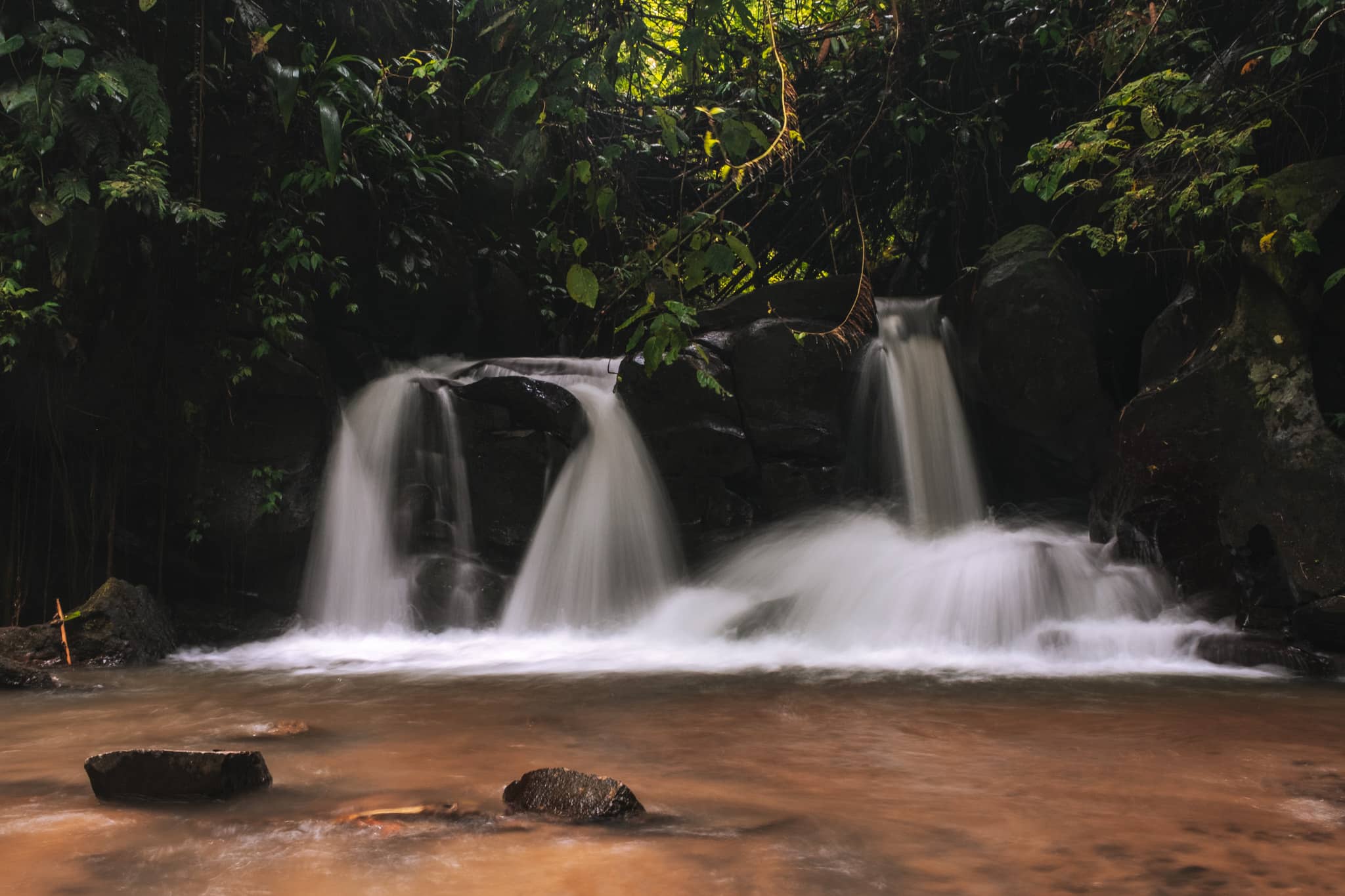 randonnée dans la jungle pour aller voir les cascades d'Ulu Petanu