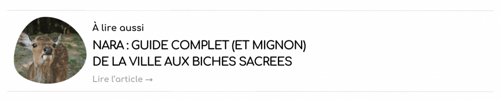 article sur nara paresseux curieux