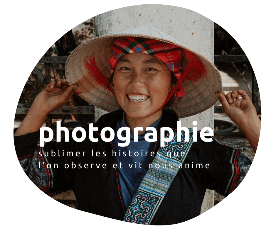 photographie paresseux curieux