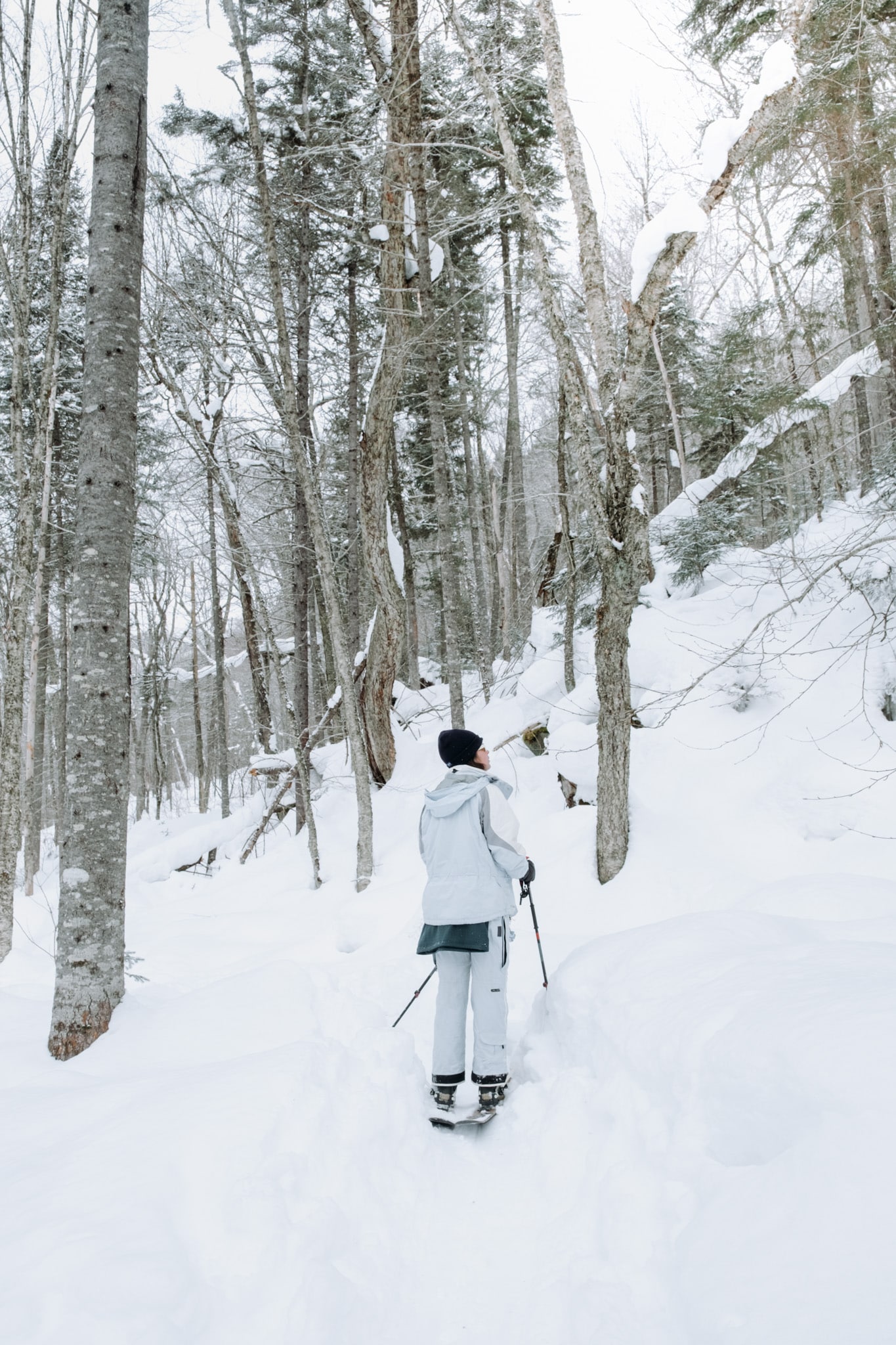 quebec_parc_national_jacques_cartier-4225
