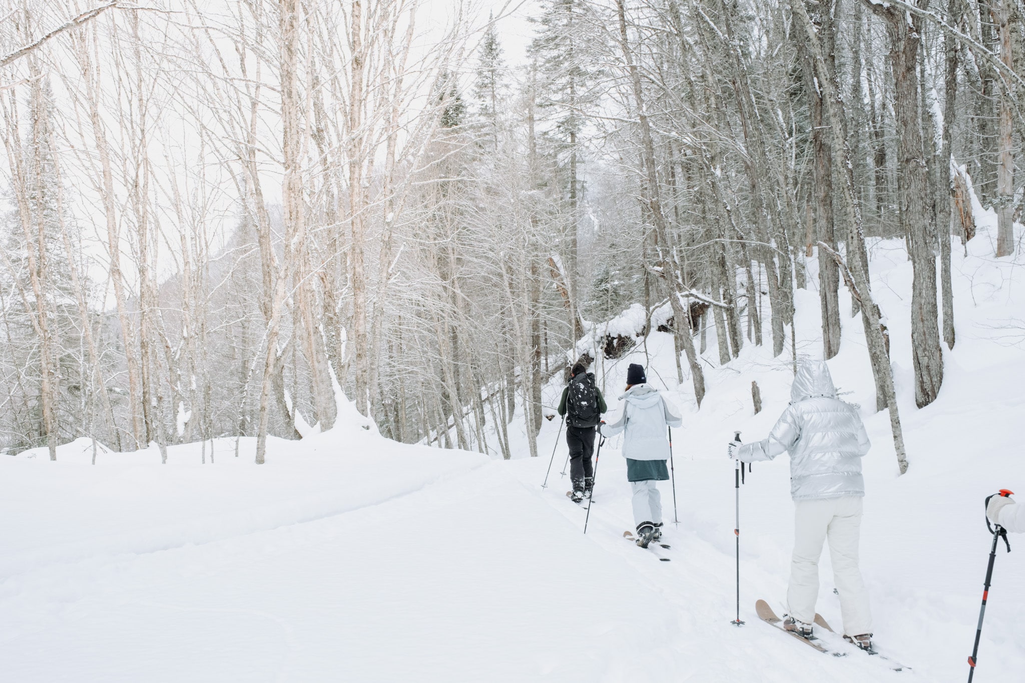 quebec_parc_national_jacques_cartier-4250