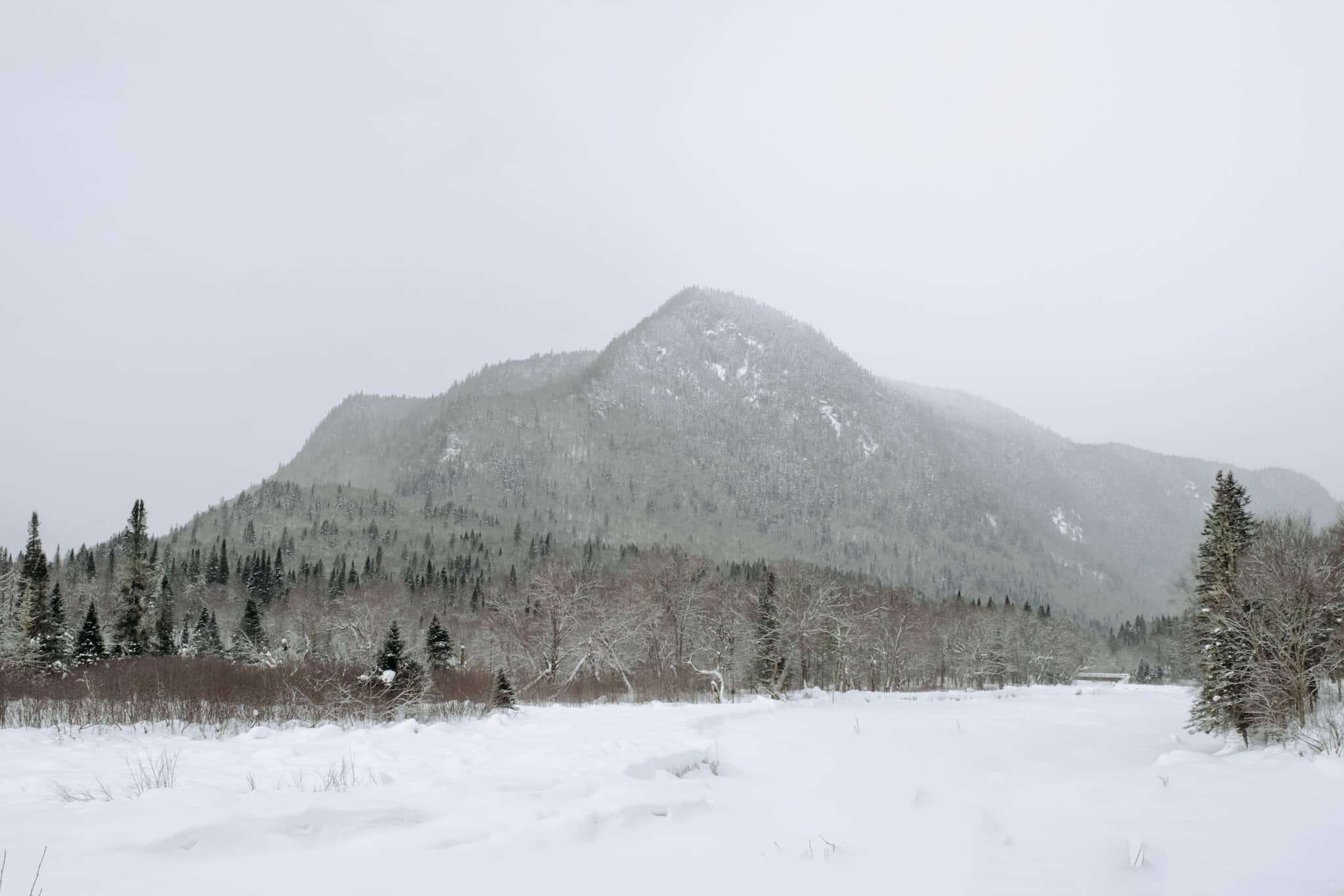 quebec_parc_national_jacques_cartier-4262