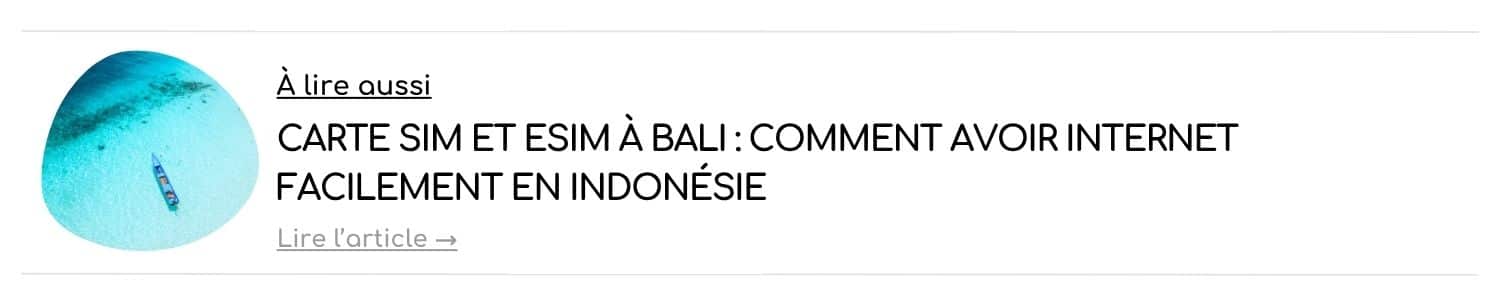 banniere article carte sim indonesie