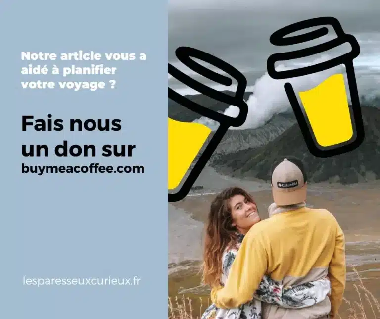 popup_les_paresseux_curieux