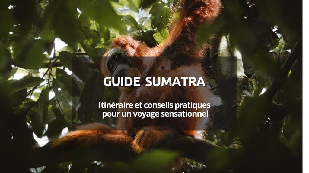 couverture article guide voyage ile de sumatra
