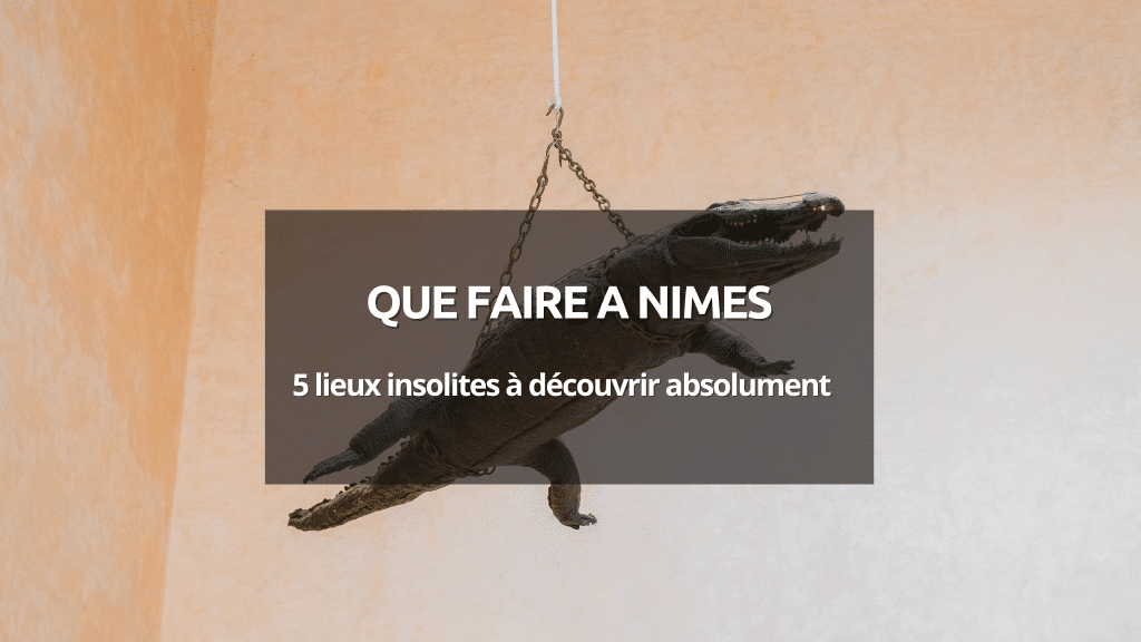 couverture que faire à nimes insolite