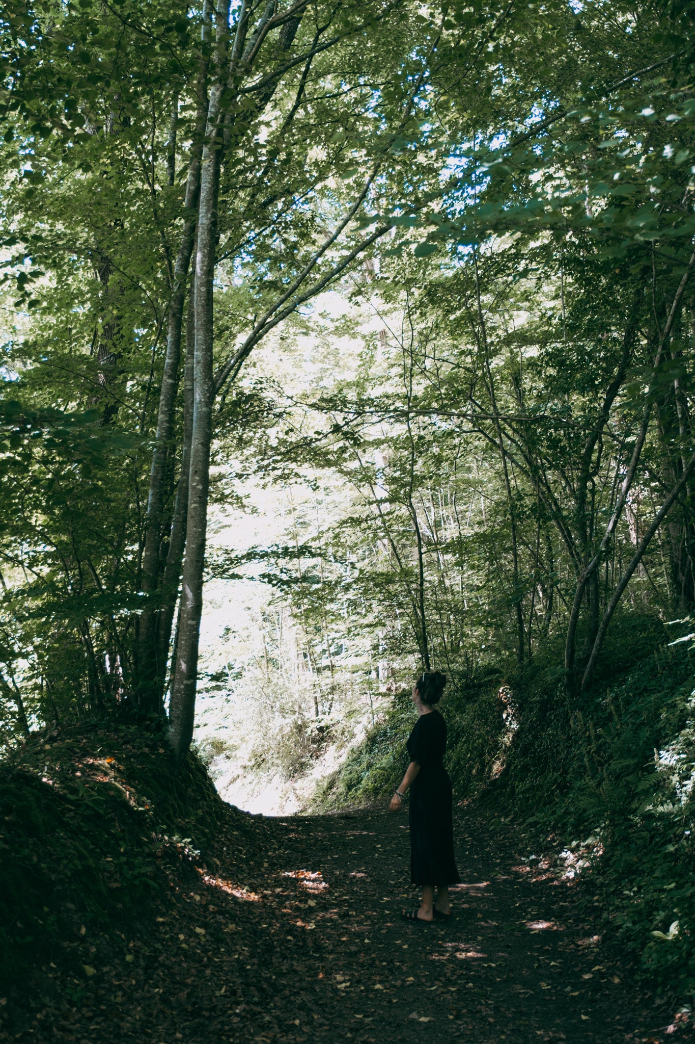 balade buccolique dans les sous bois de l'abbaye d'hambye