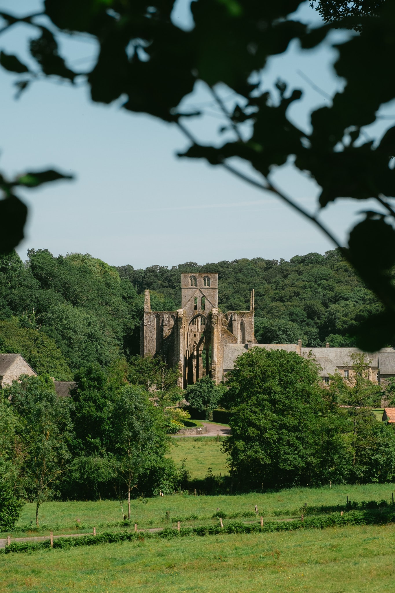abbaye d'hambye à travers les feuillages