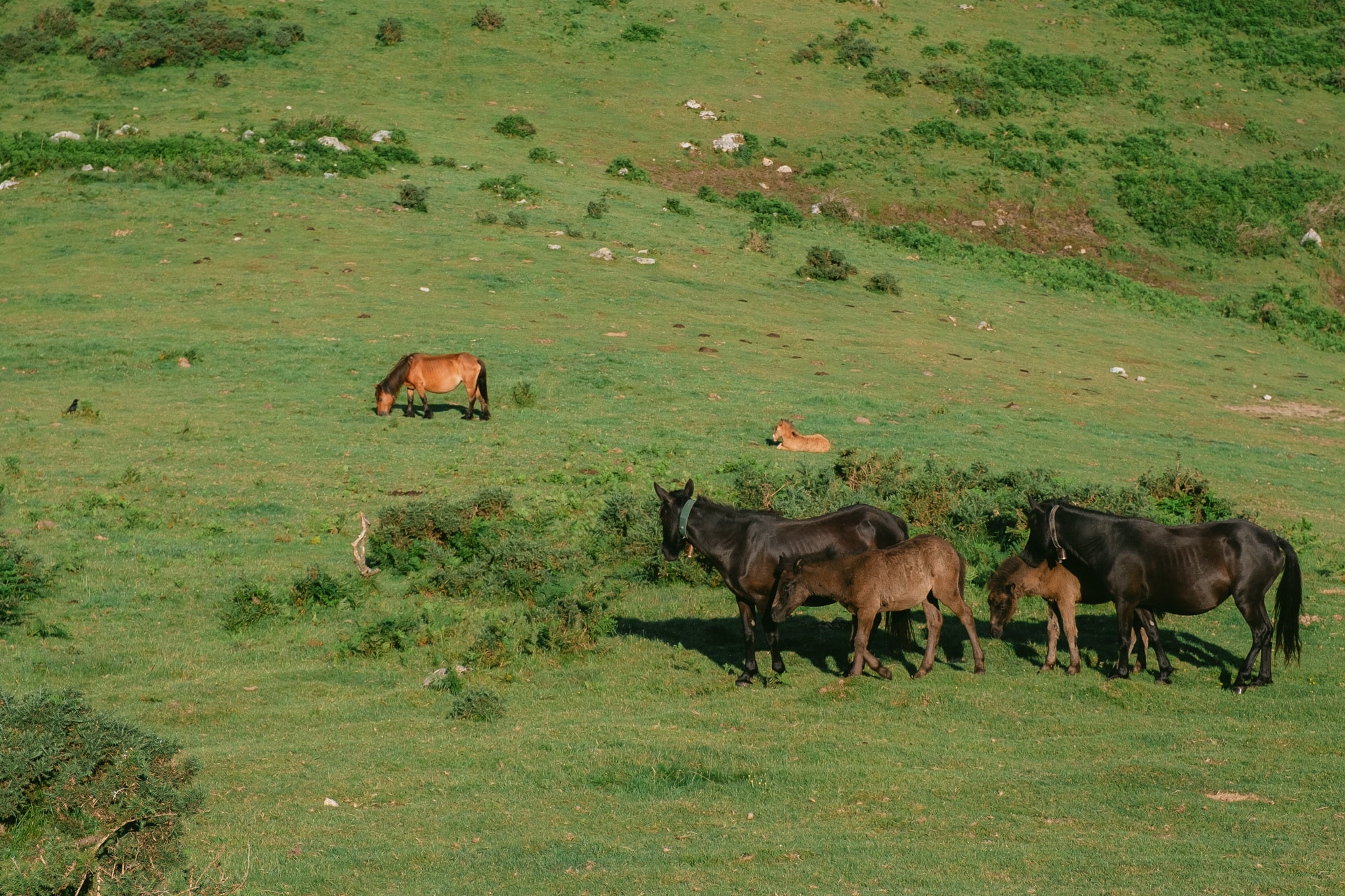 potoks en balade dans les montagnes de france