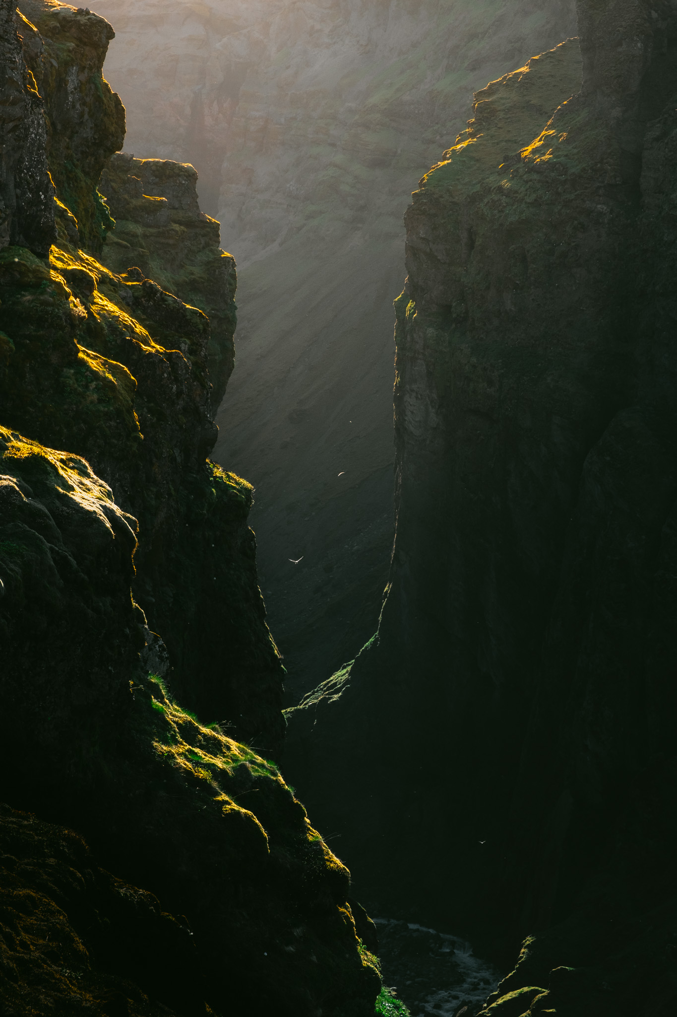 lumières mystiques sur le canyon