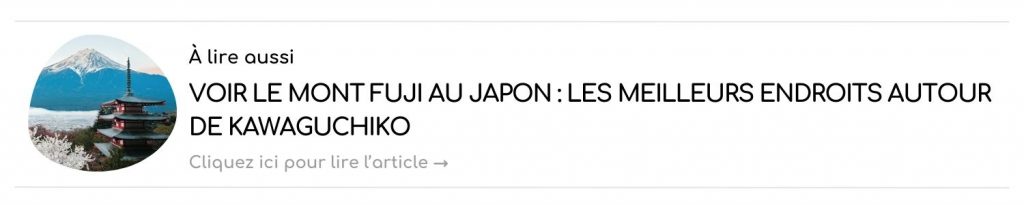 lien article voir le mont fuji japon