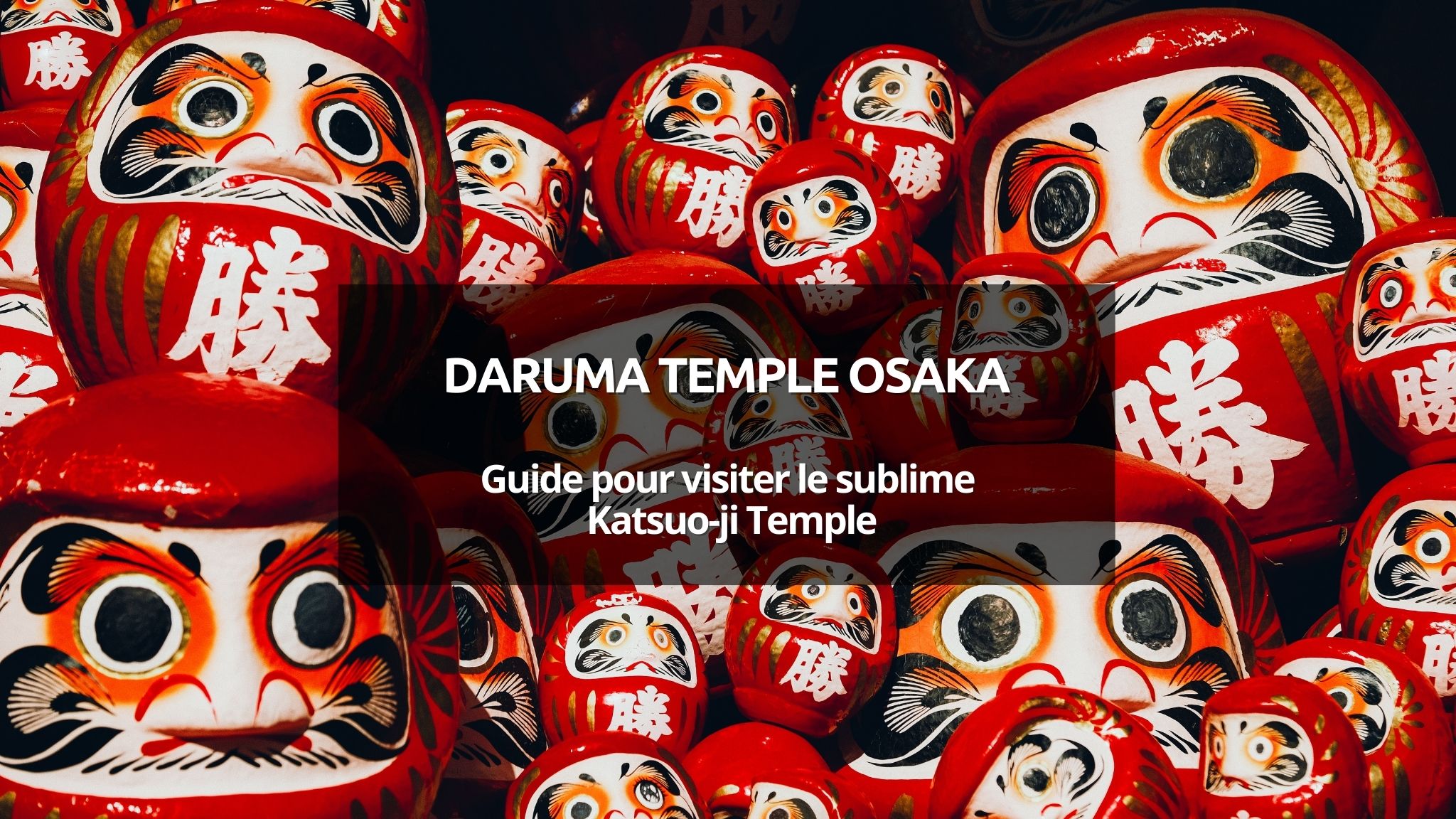couverture article temple daruma osaka
